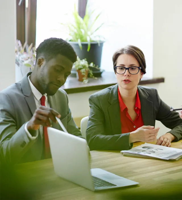 Engineering workforce solutions for EU and US projects